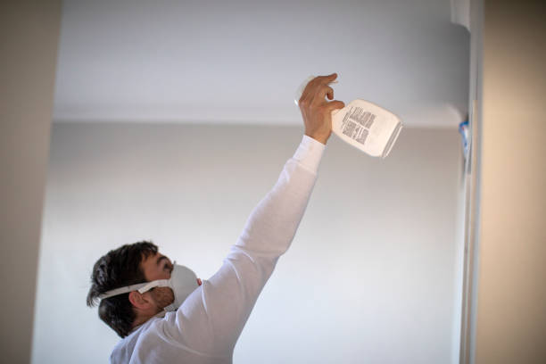 Best Crawl Space Mold Removal  in Frankford, DE
