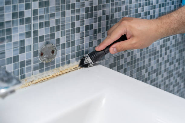 Best Emergency Mold Removal  in Frankford, DE